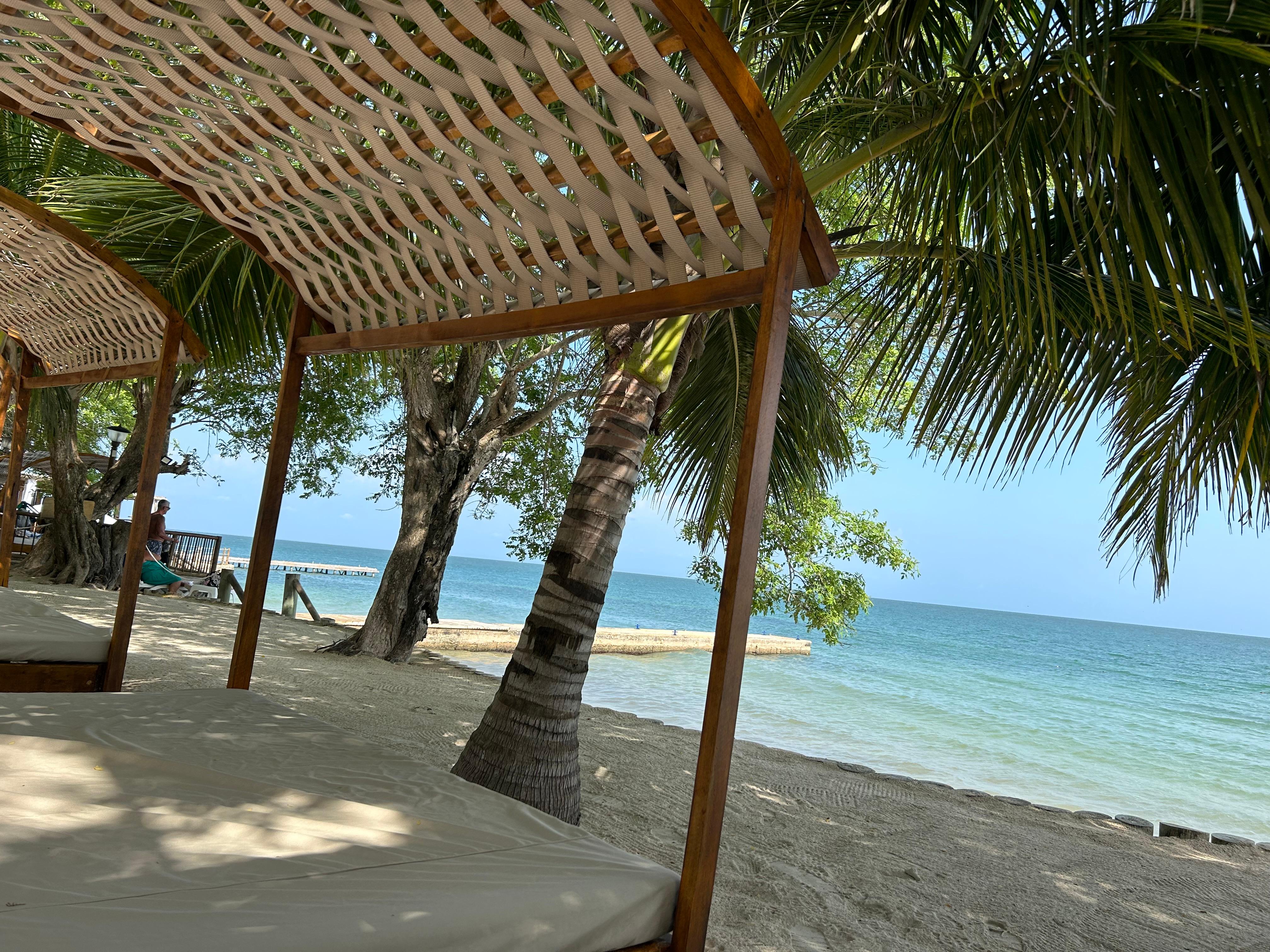 Nice shaded beds by the beach!🏝️ 