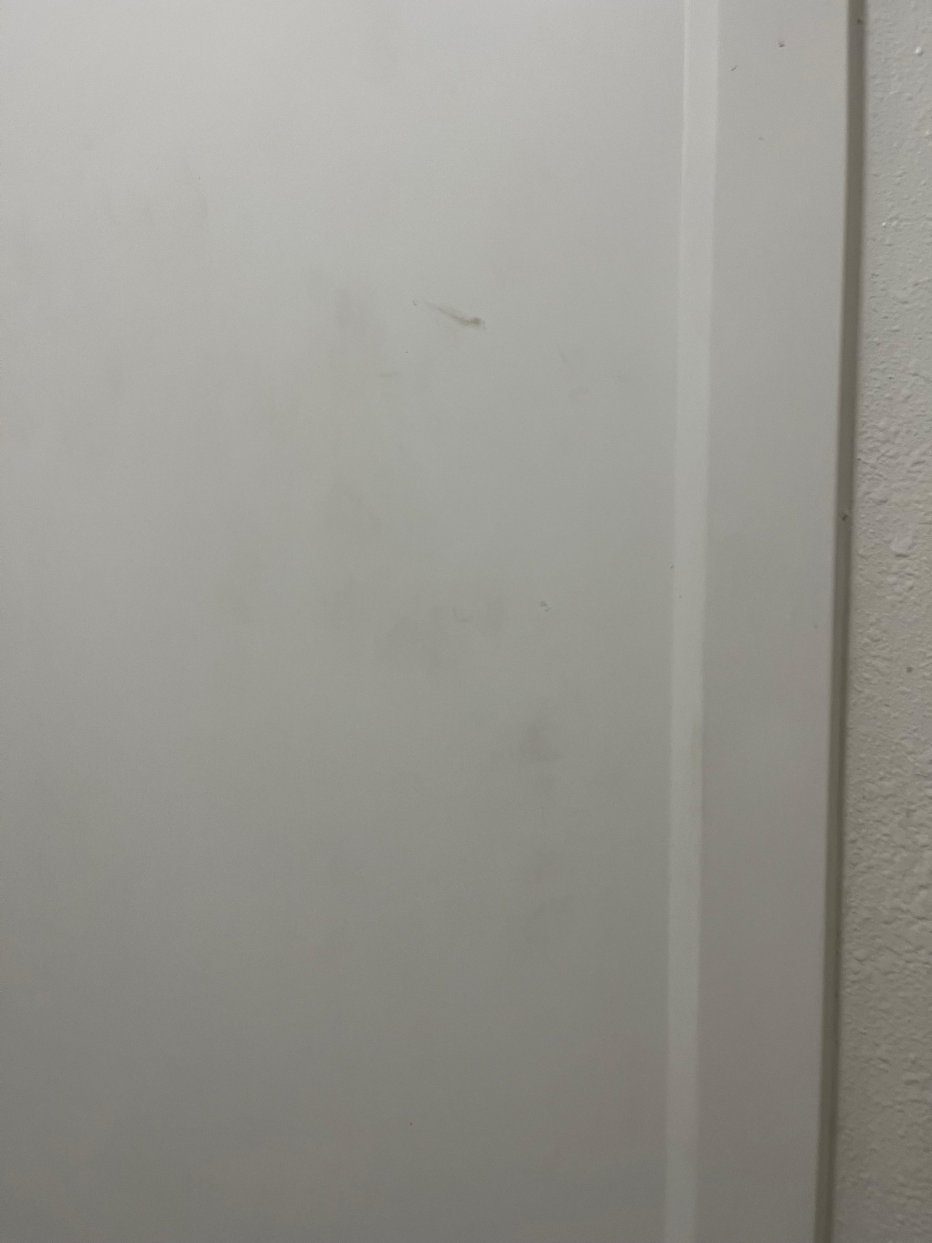 Shower wall stains