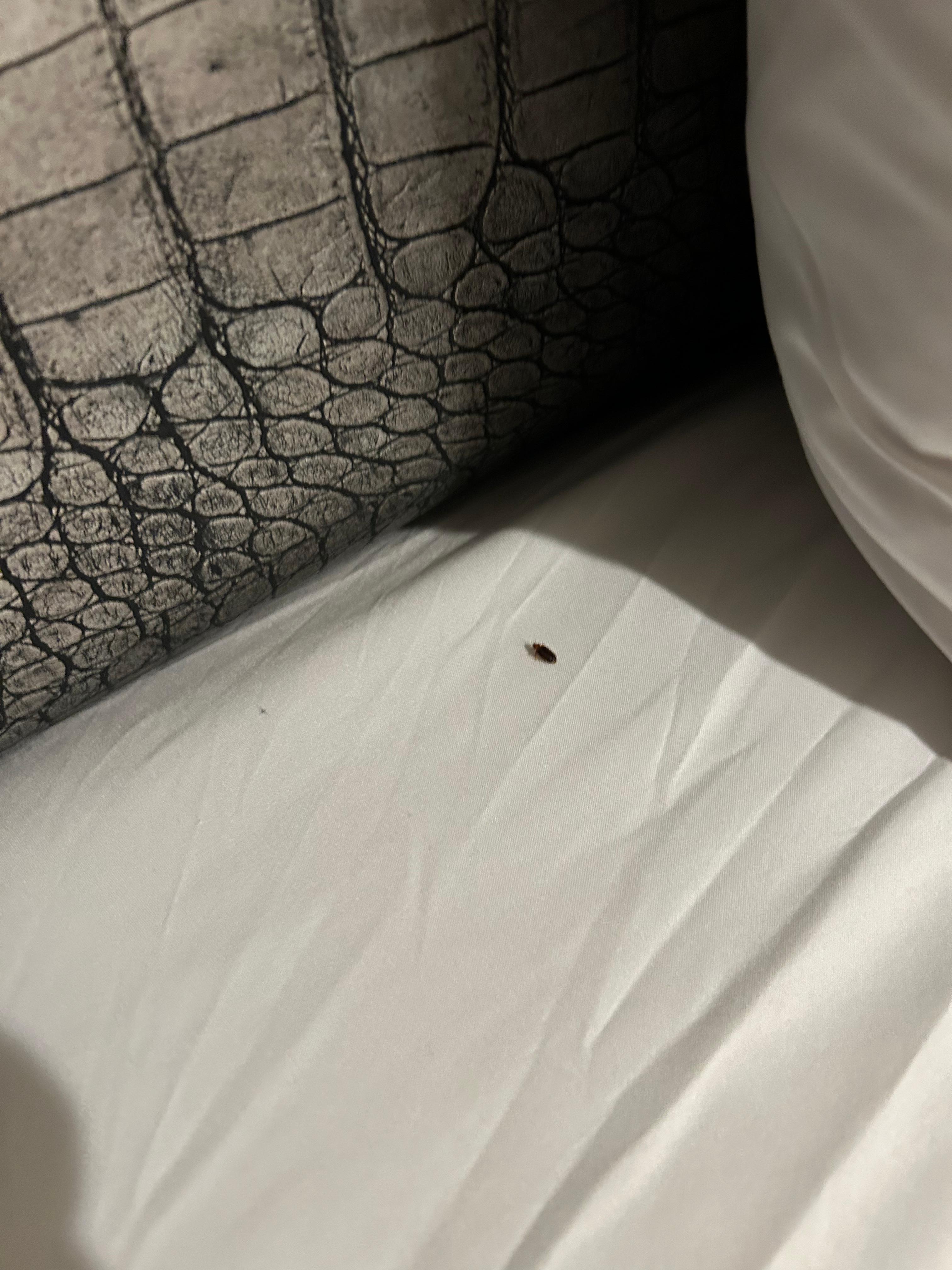 The bed at 1:30 am