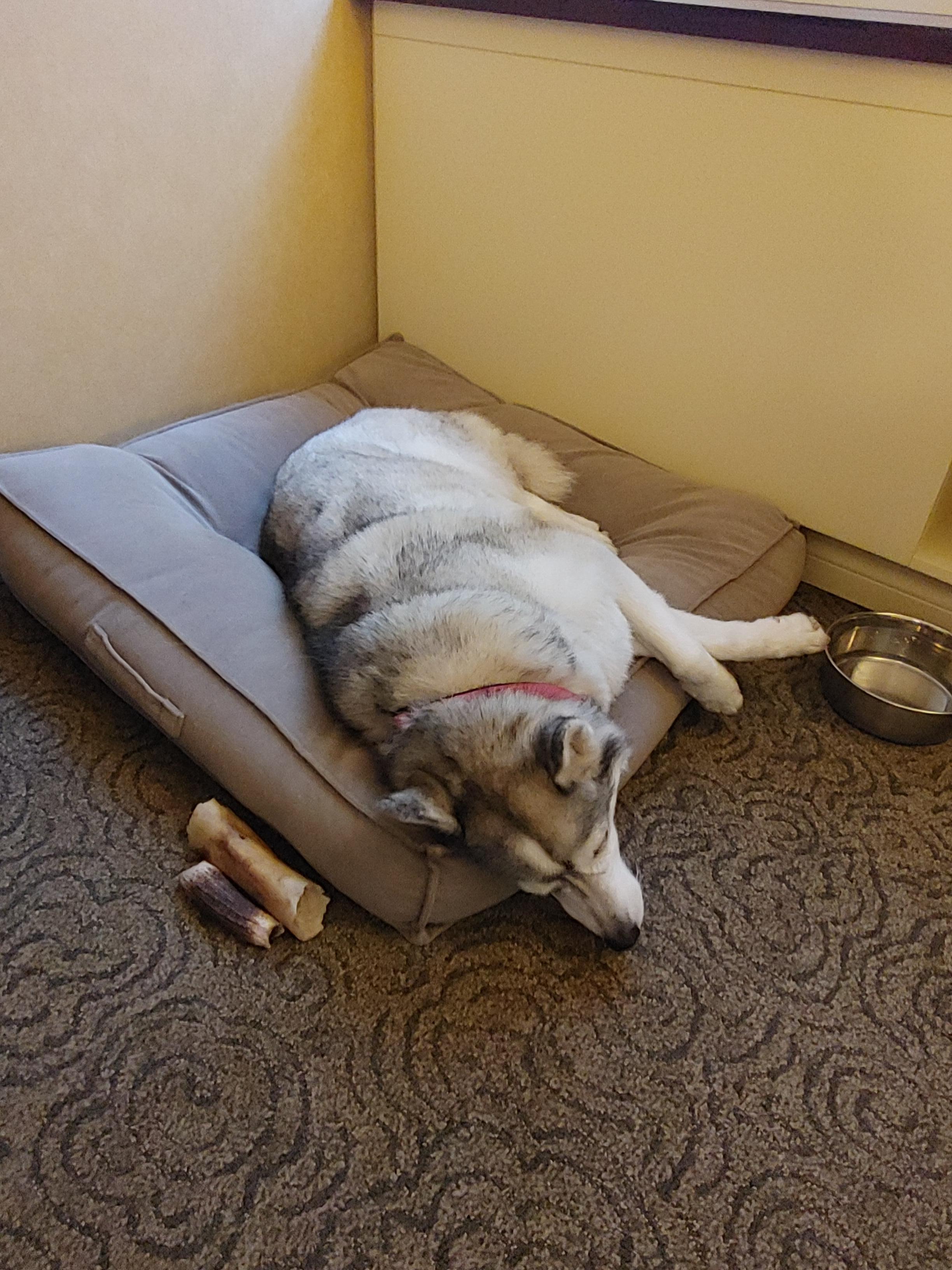 Ashta was happy at the hotel
