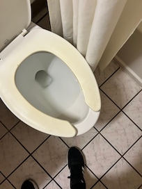 Stained toilet seat