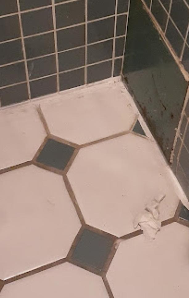 El baño tenia papeles sucios tirados y la cubeta también, y el toilet estaba embarrado de caca y la tina de baño con pelos