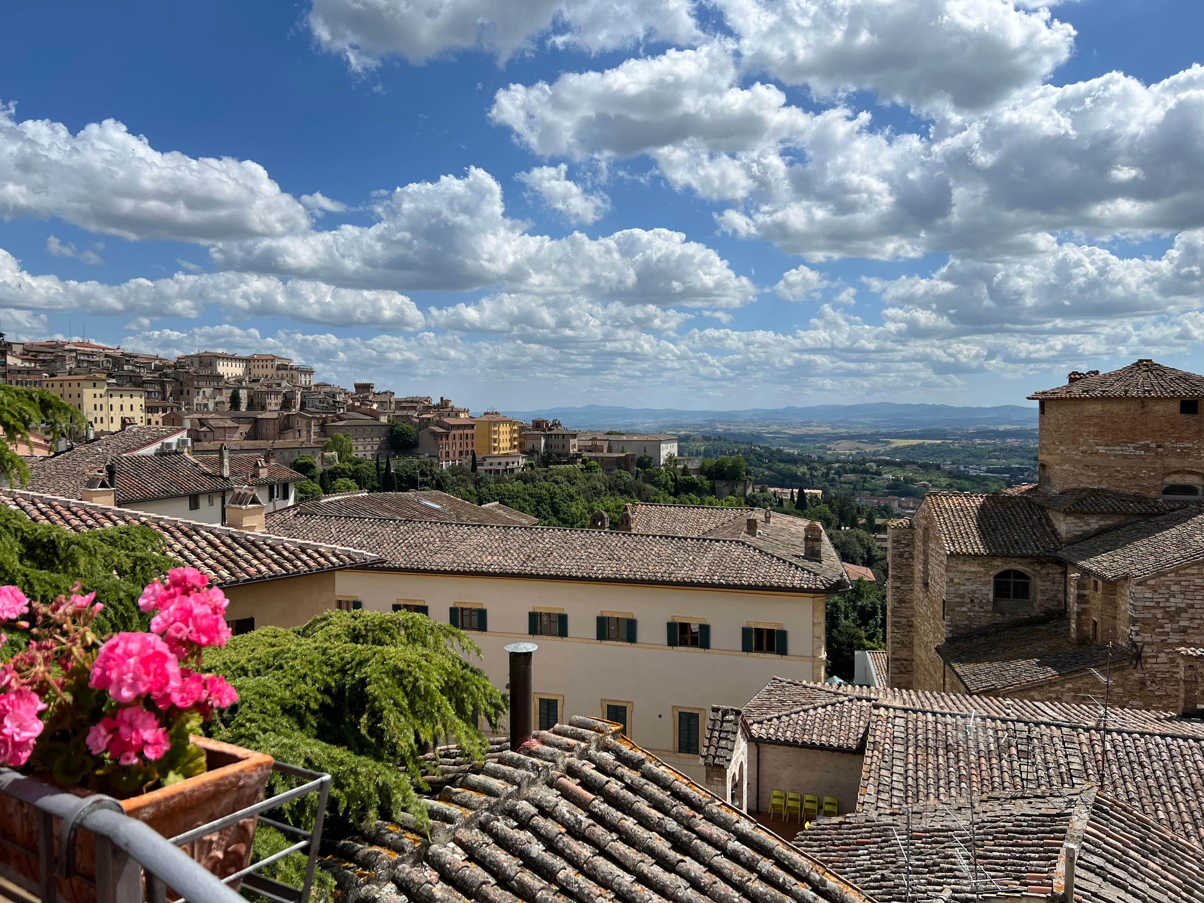 View from Terrace