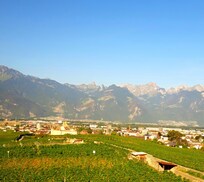 Aigle