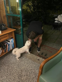 The puppy welcome party