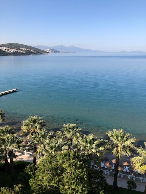 Aussicht vom Balkon