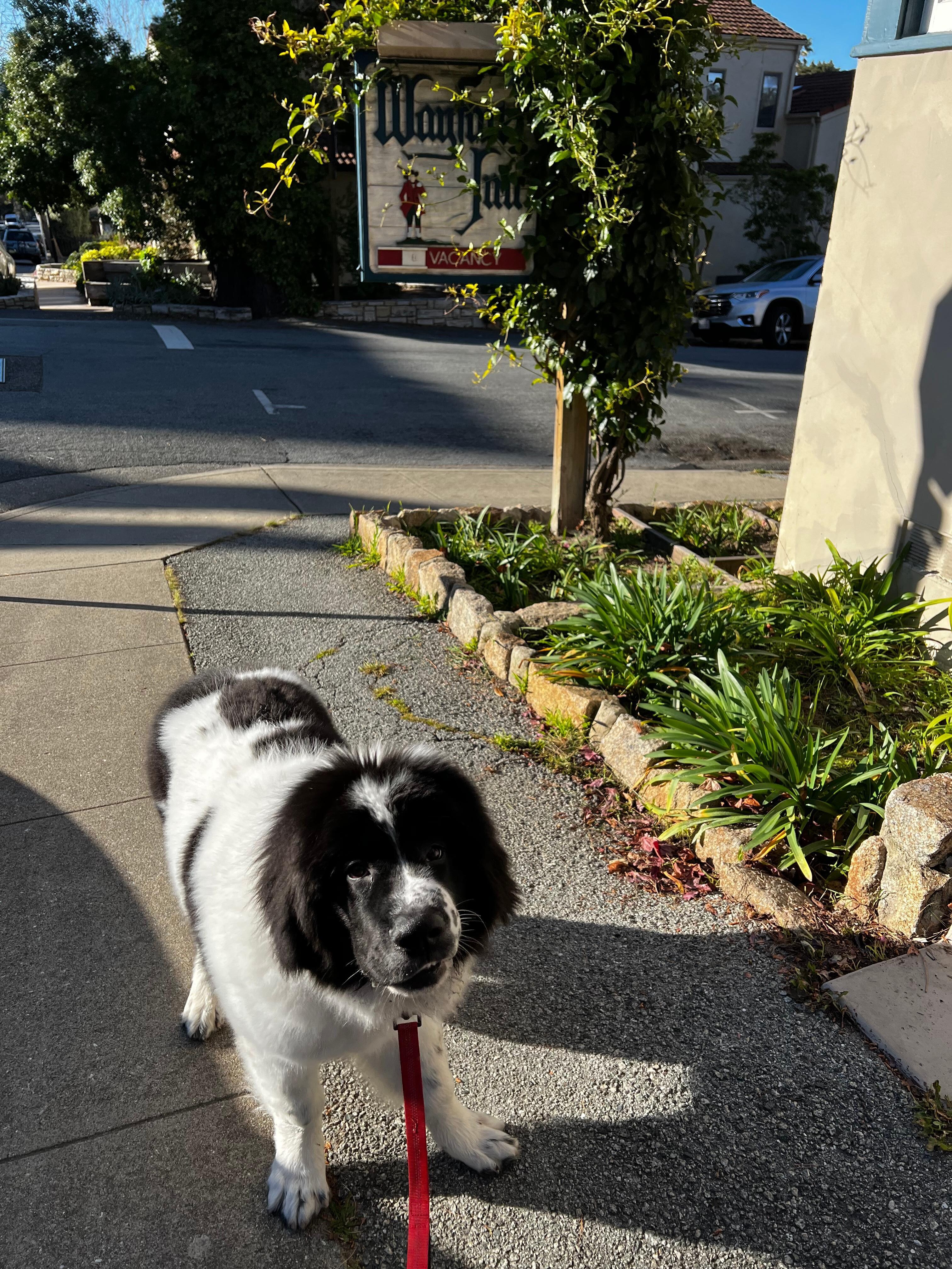 Bruce outside the wayfarer very happy 