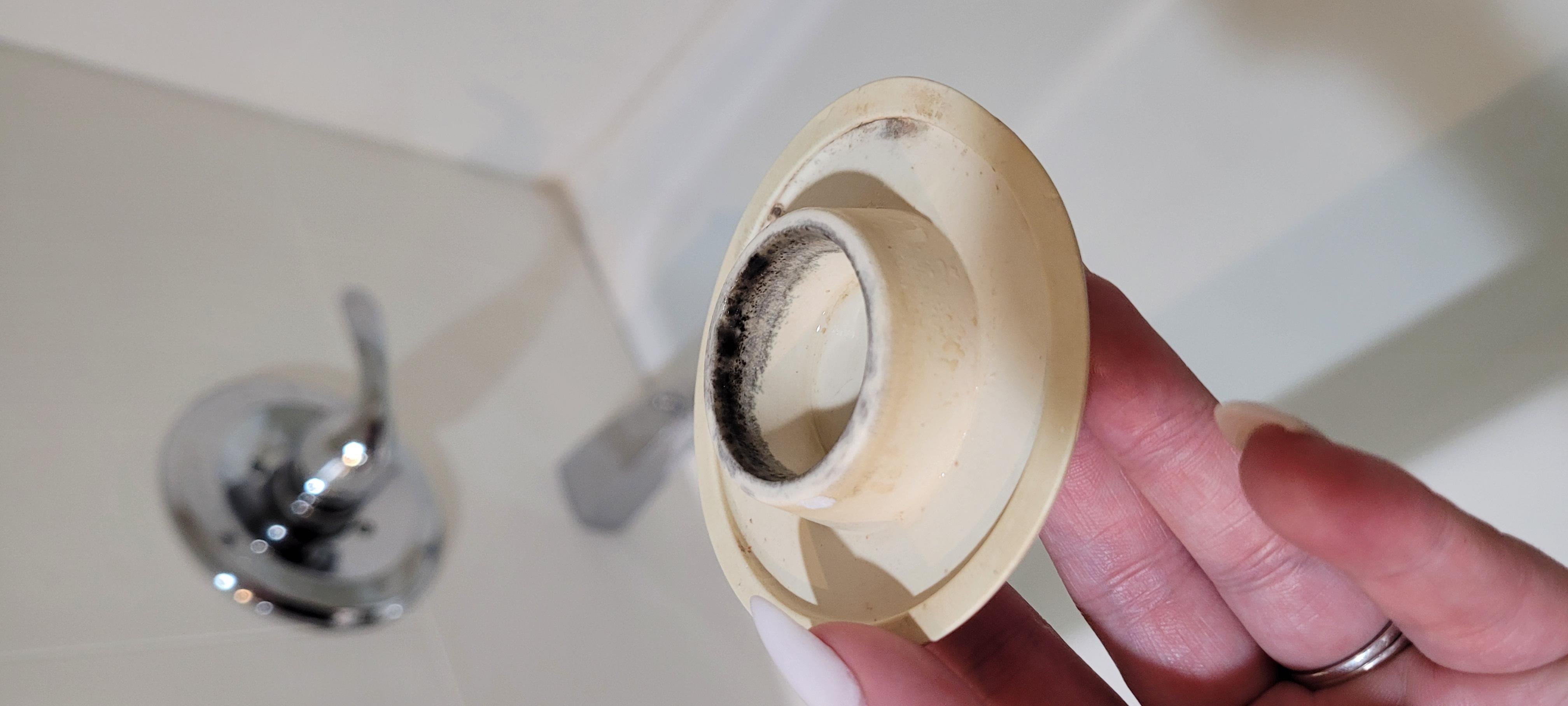 Black mold on shower stopper, was turned over by housekeeper after left facing upwards to be cleaned or replaced.