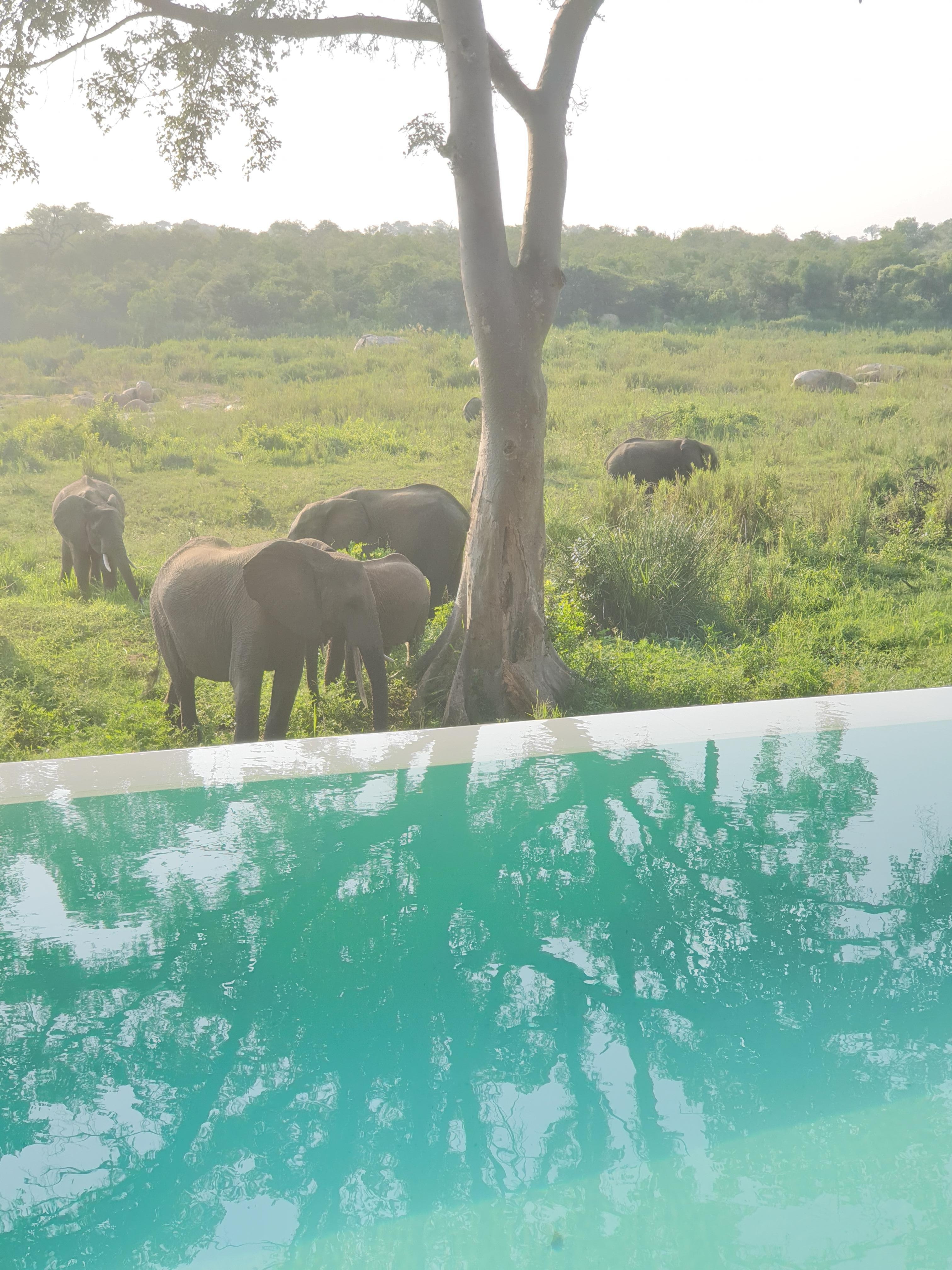 Frequent visitors to the hotel deck