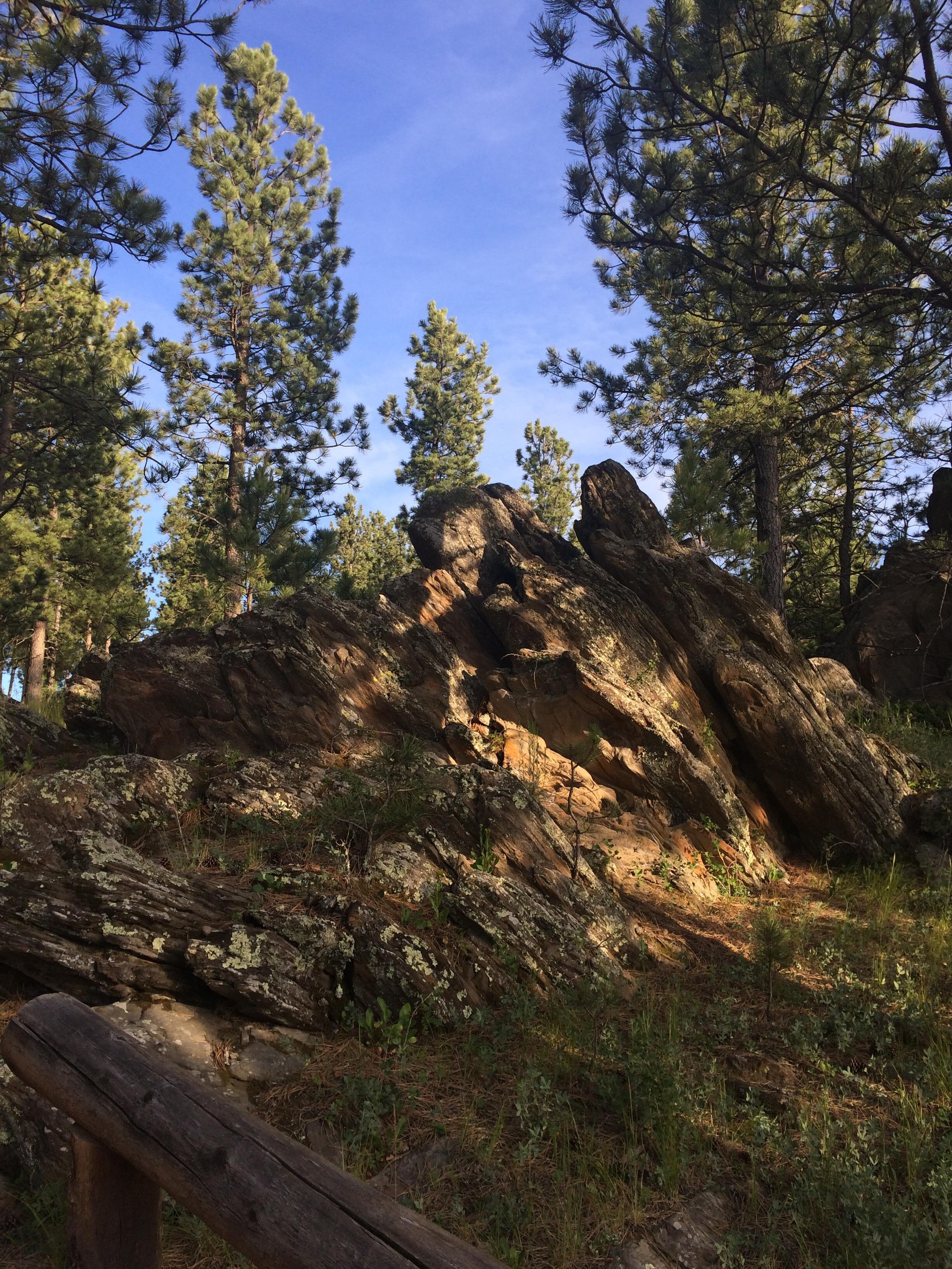 Big Rock Park, Custer