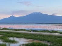 Beautiful Kilimanjaro with flamingos