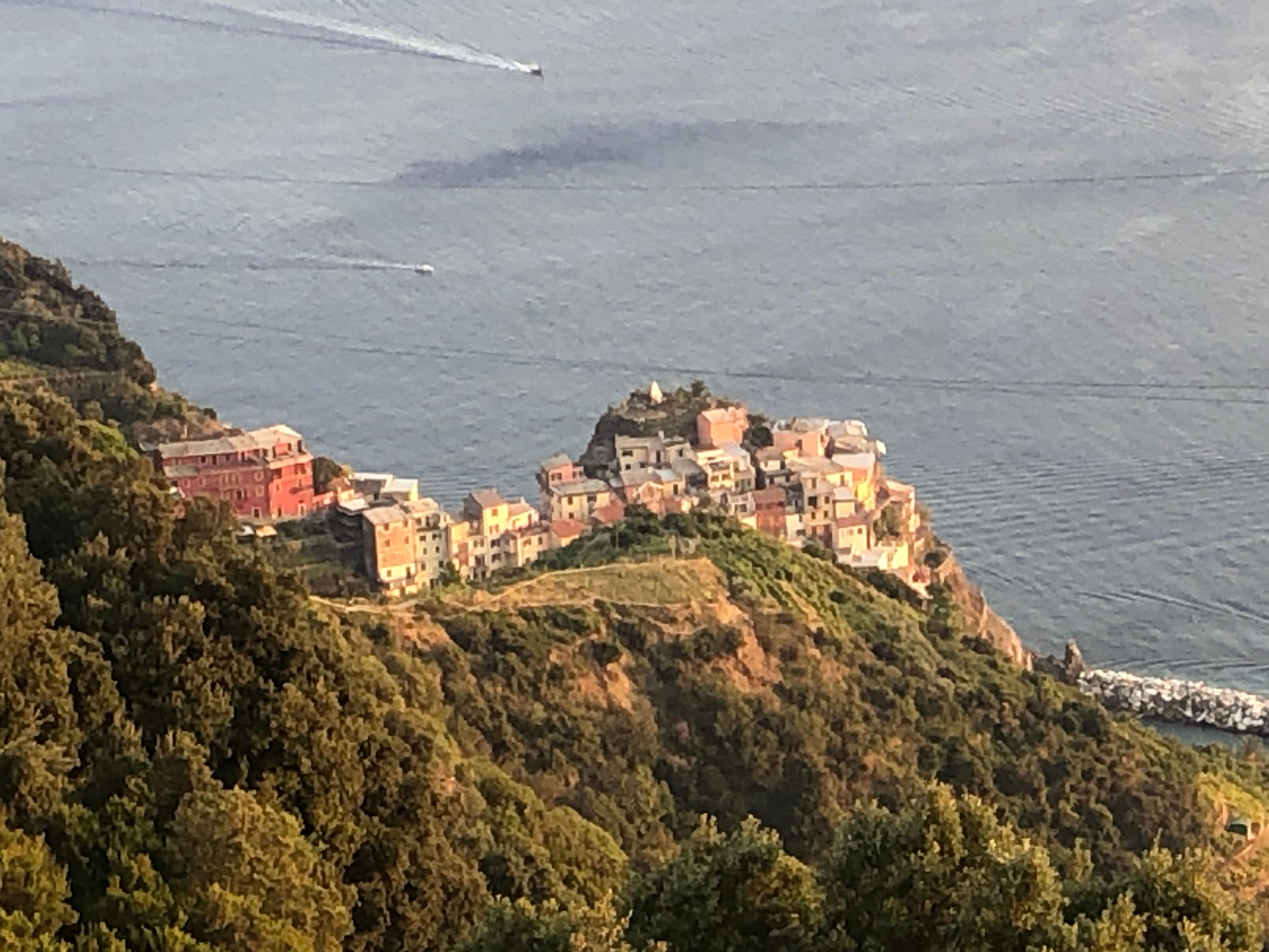 Blick auf Manarola vom Hotel aus