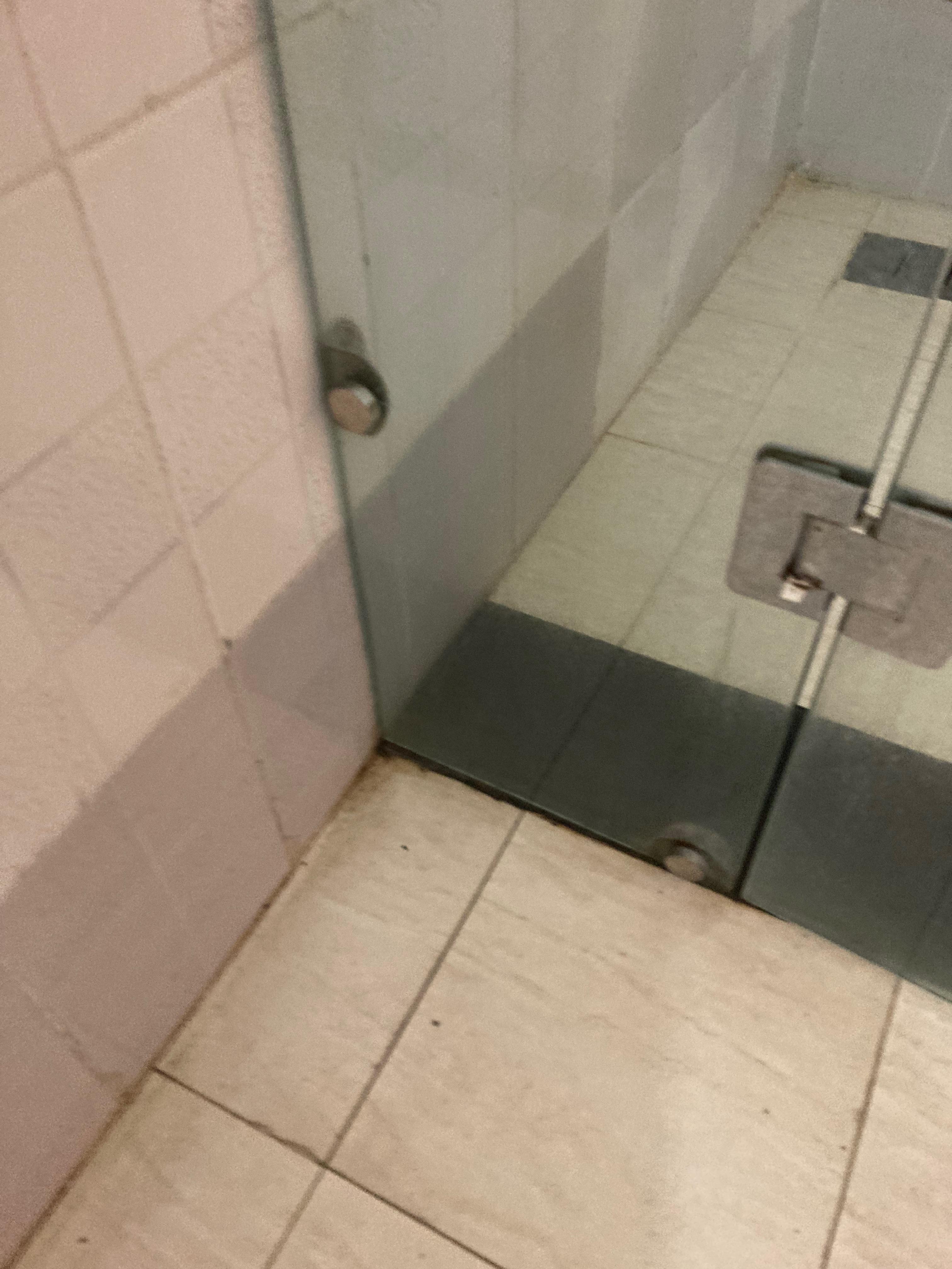 Shower door