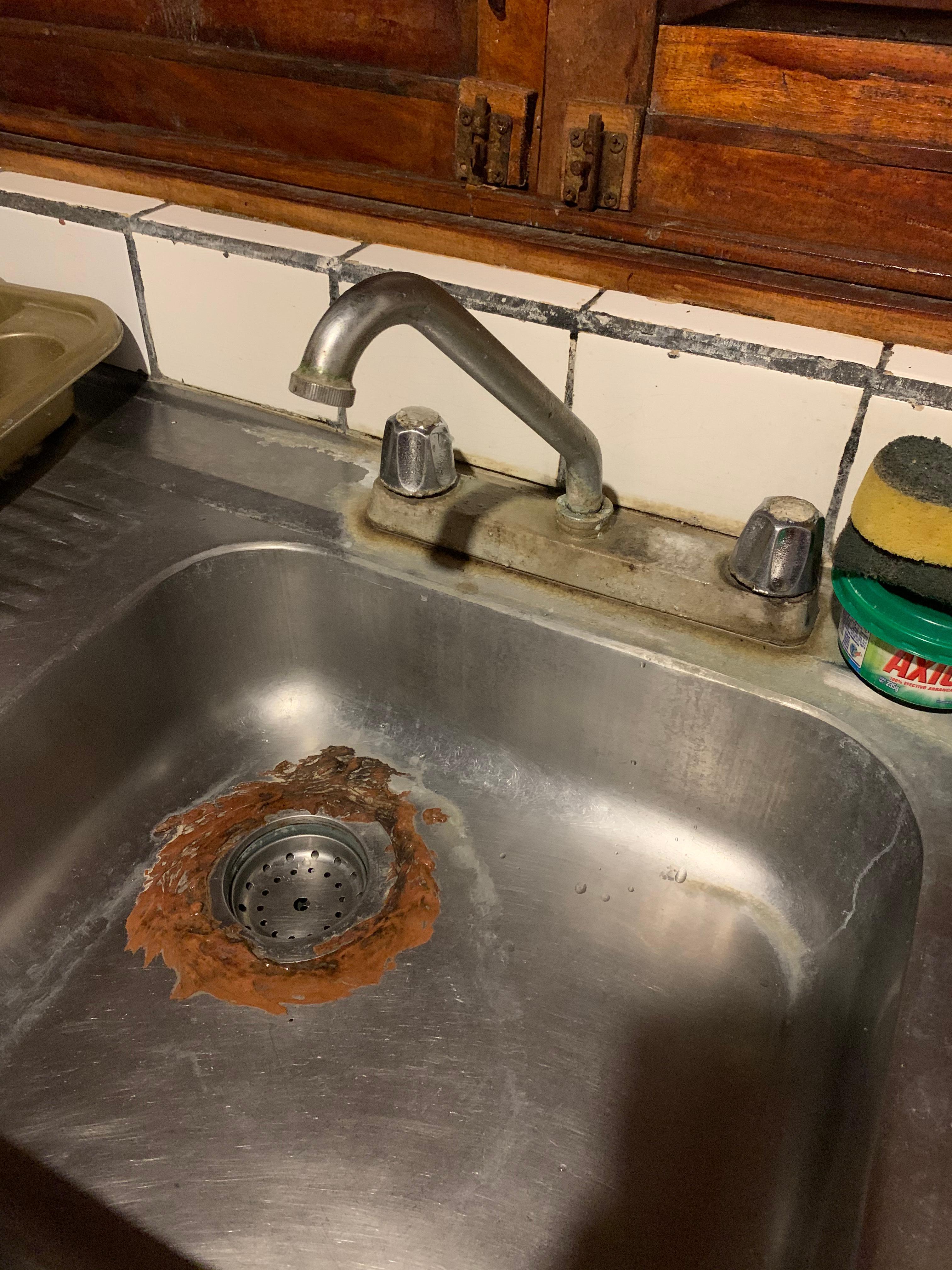 Disgusting sink