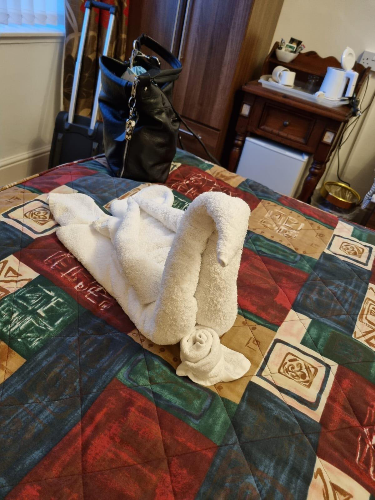 Towels formed into swans on our beds