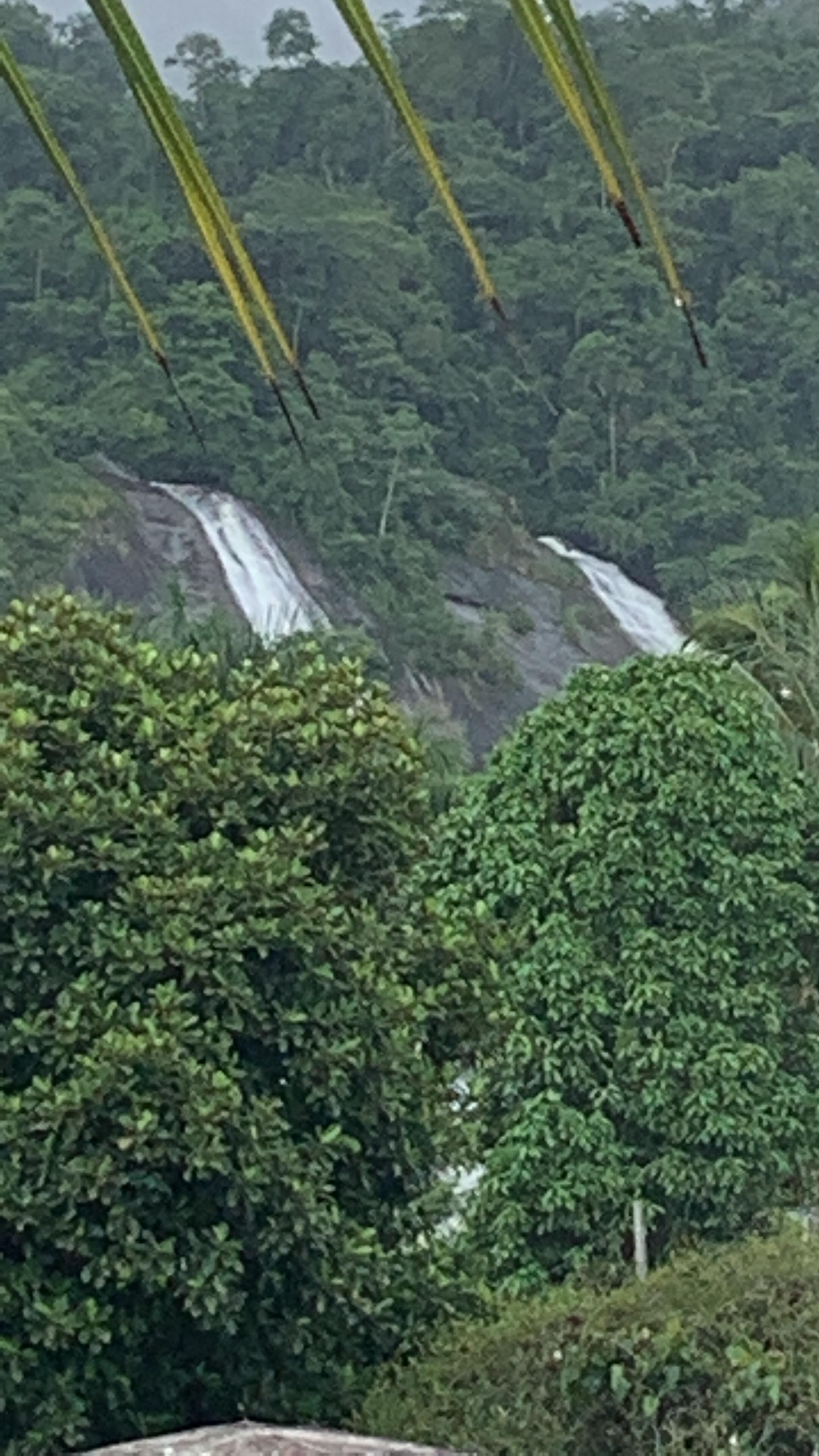 A “triste” vista do quarto.