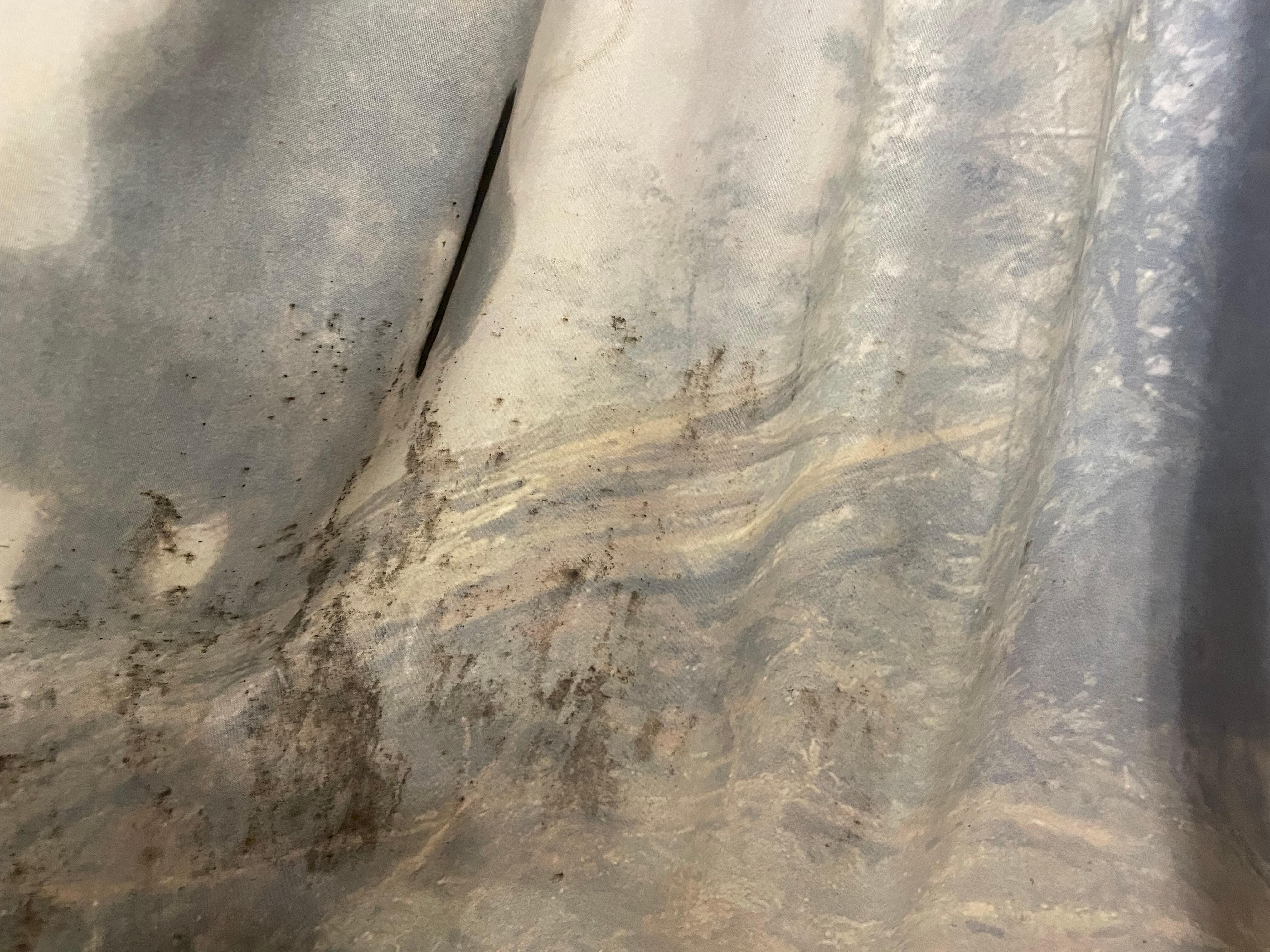 mold