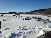 Amazing place 5 minutes nearby: the Winterparken
