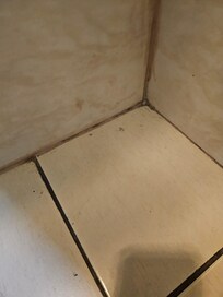 Dirty corner