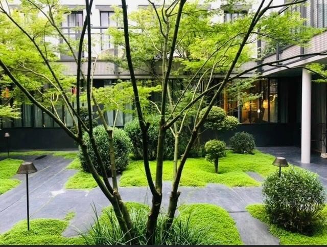 Japanse siertuin