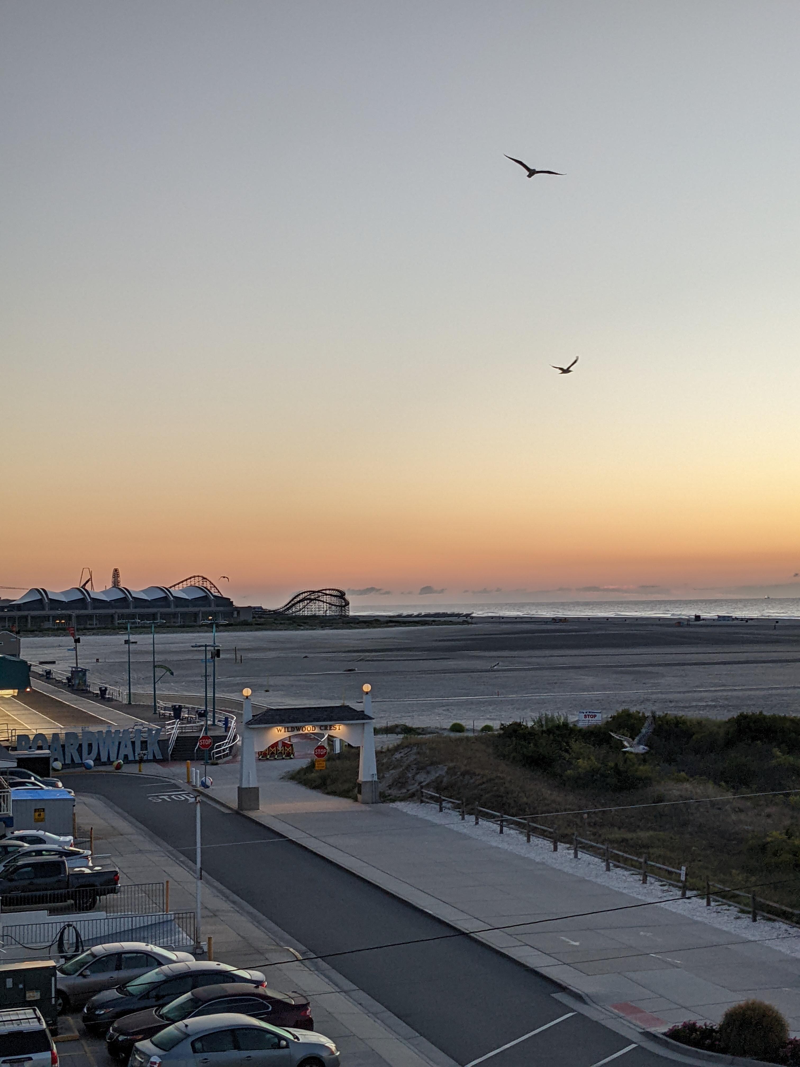 From our room at dawn with gulls