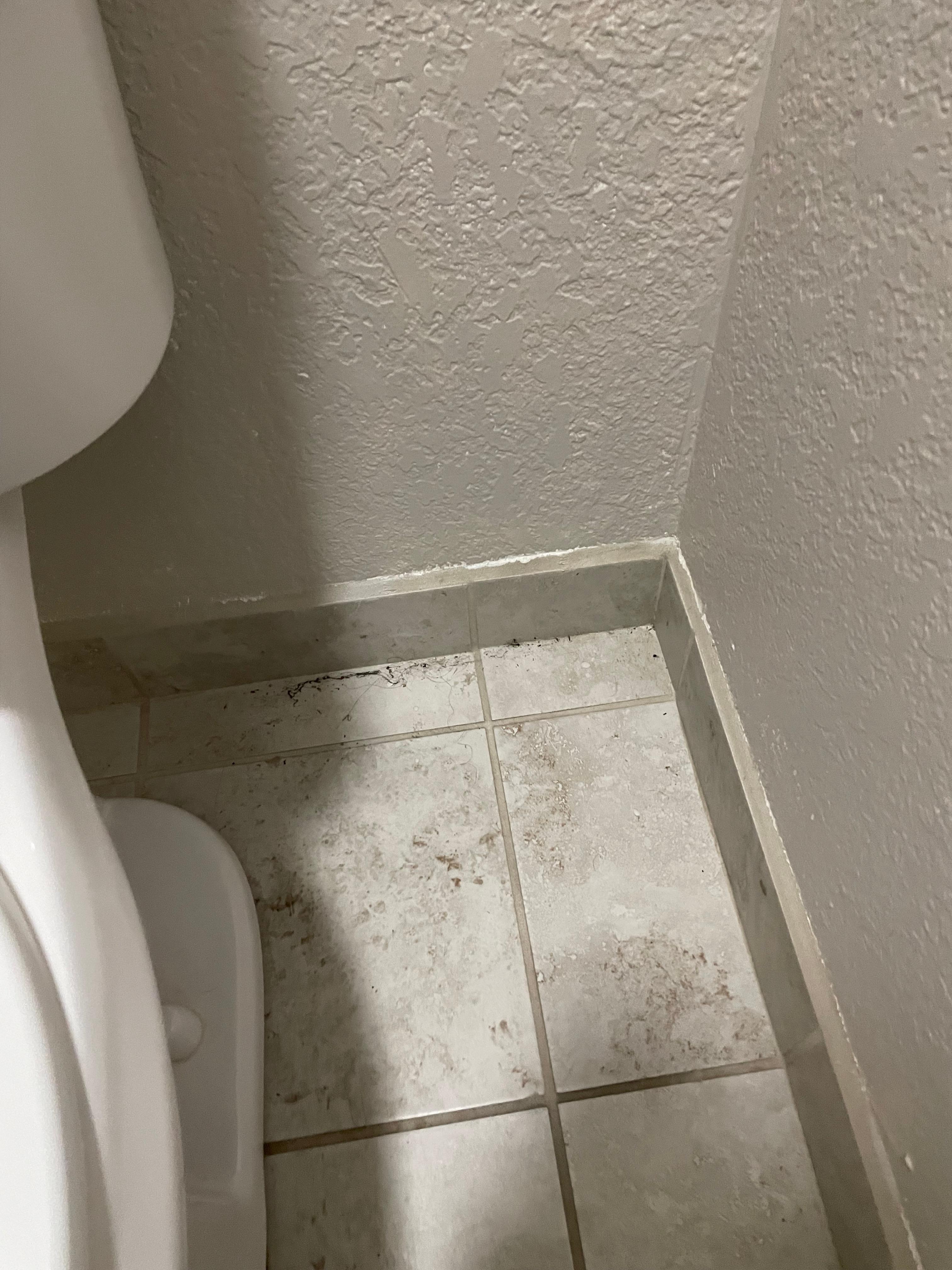 Disgusting bathroom floor