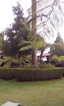 Lovely gardens
