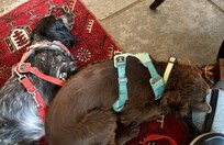 A relaxing breakfast