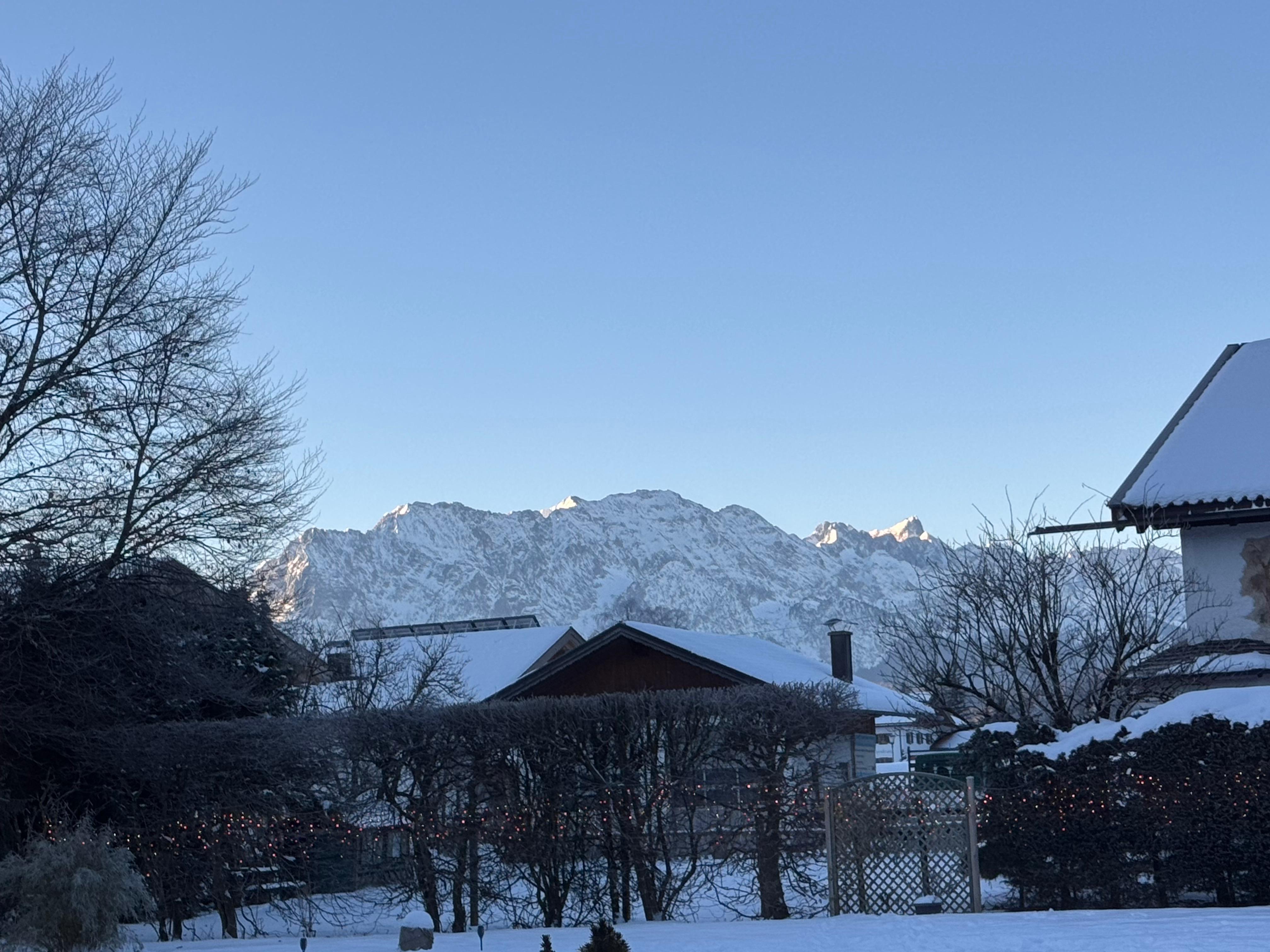 View from the dining room