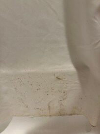 Moho en la cortina del baño
