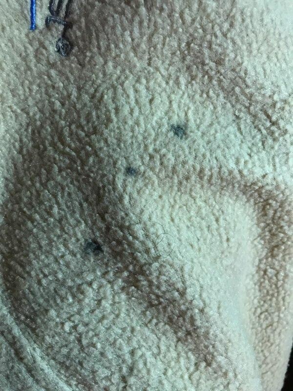 Dirty Bedding