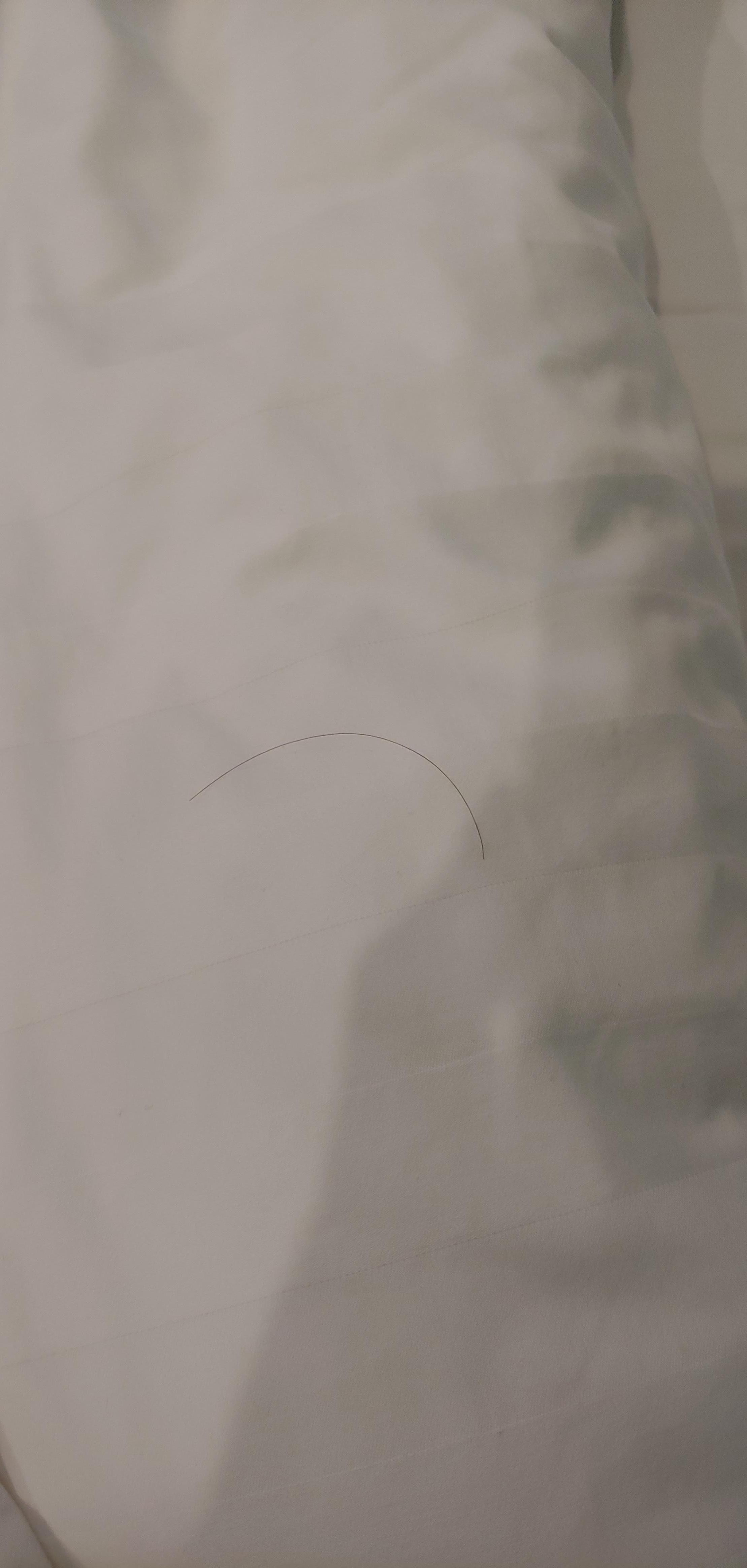 Hair found on the bed 