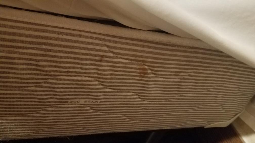 Blood on Mattress