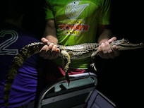 Cayman on the night trip