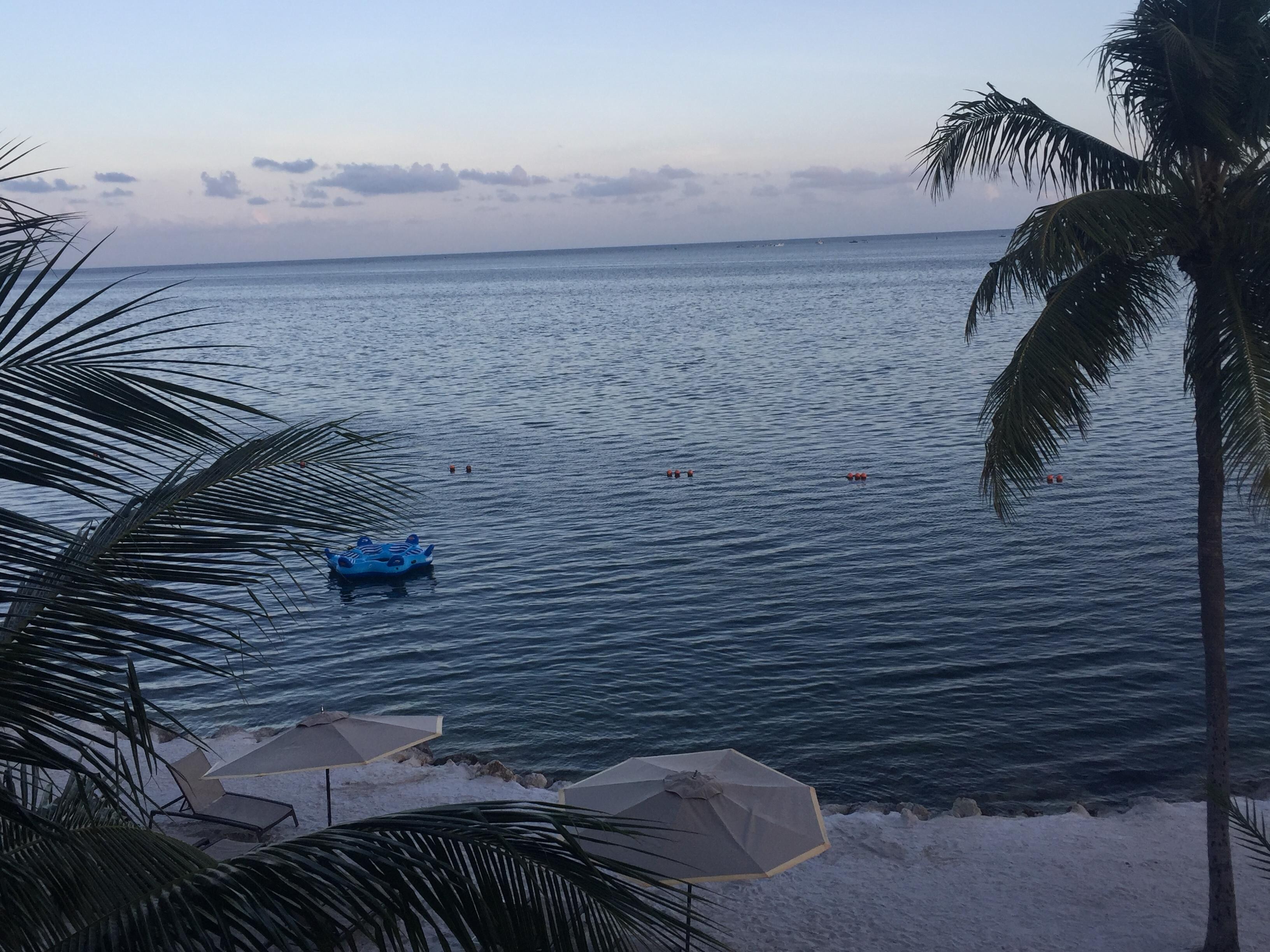 View from room
