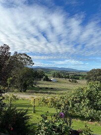 The morning view