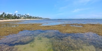 Perto (a pé) das piscinas naturais