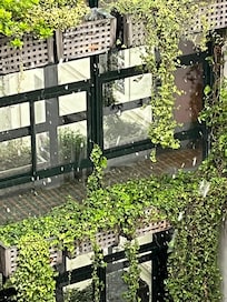 Da janela do quarto, nevando