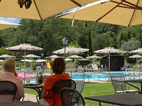 La piscine dans son écrin de verdure