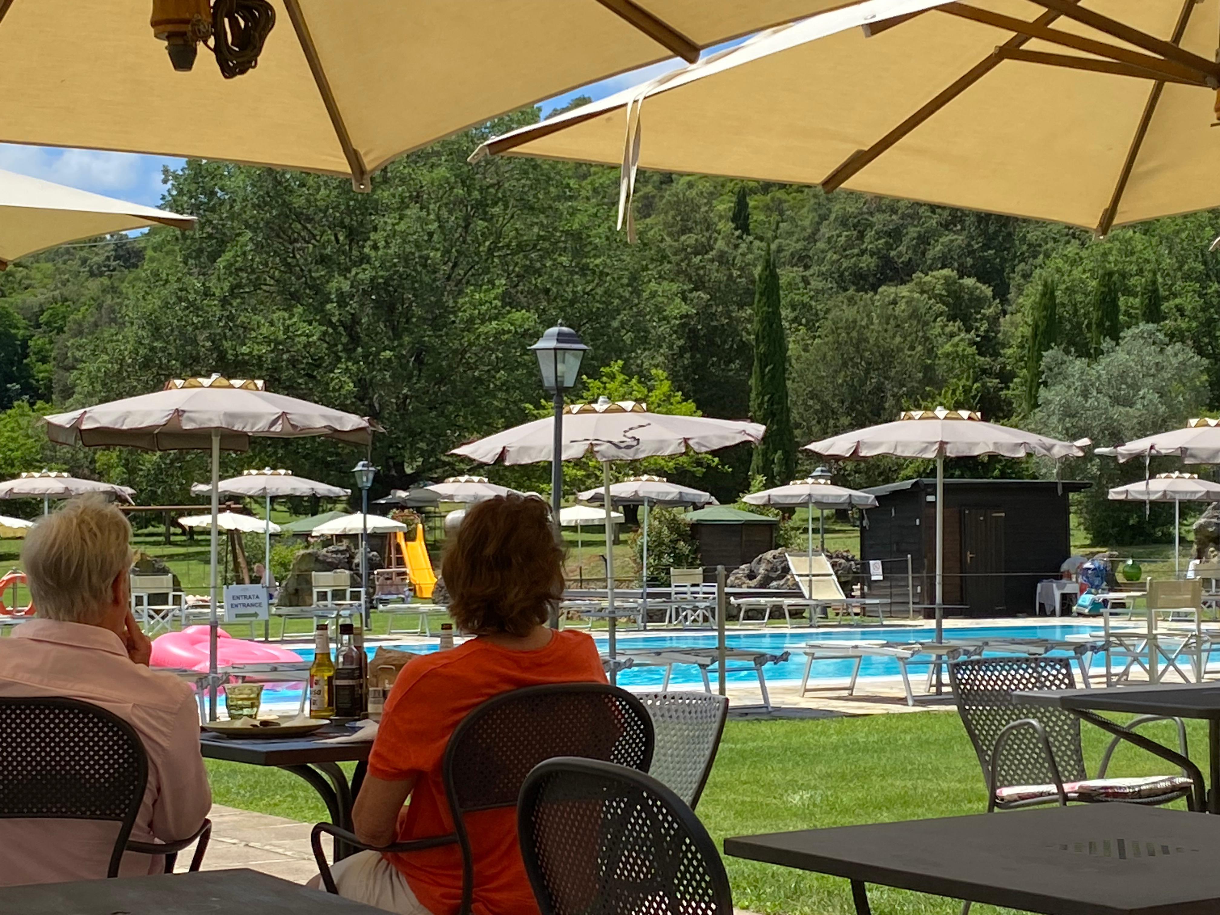 La piscine dans son écrin de verdure