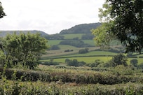 View from the garden