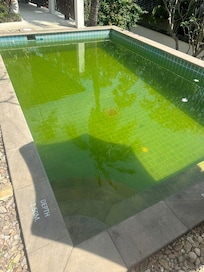 Pool am Tag 5
