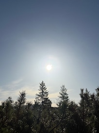 Beautiful nature everywhere