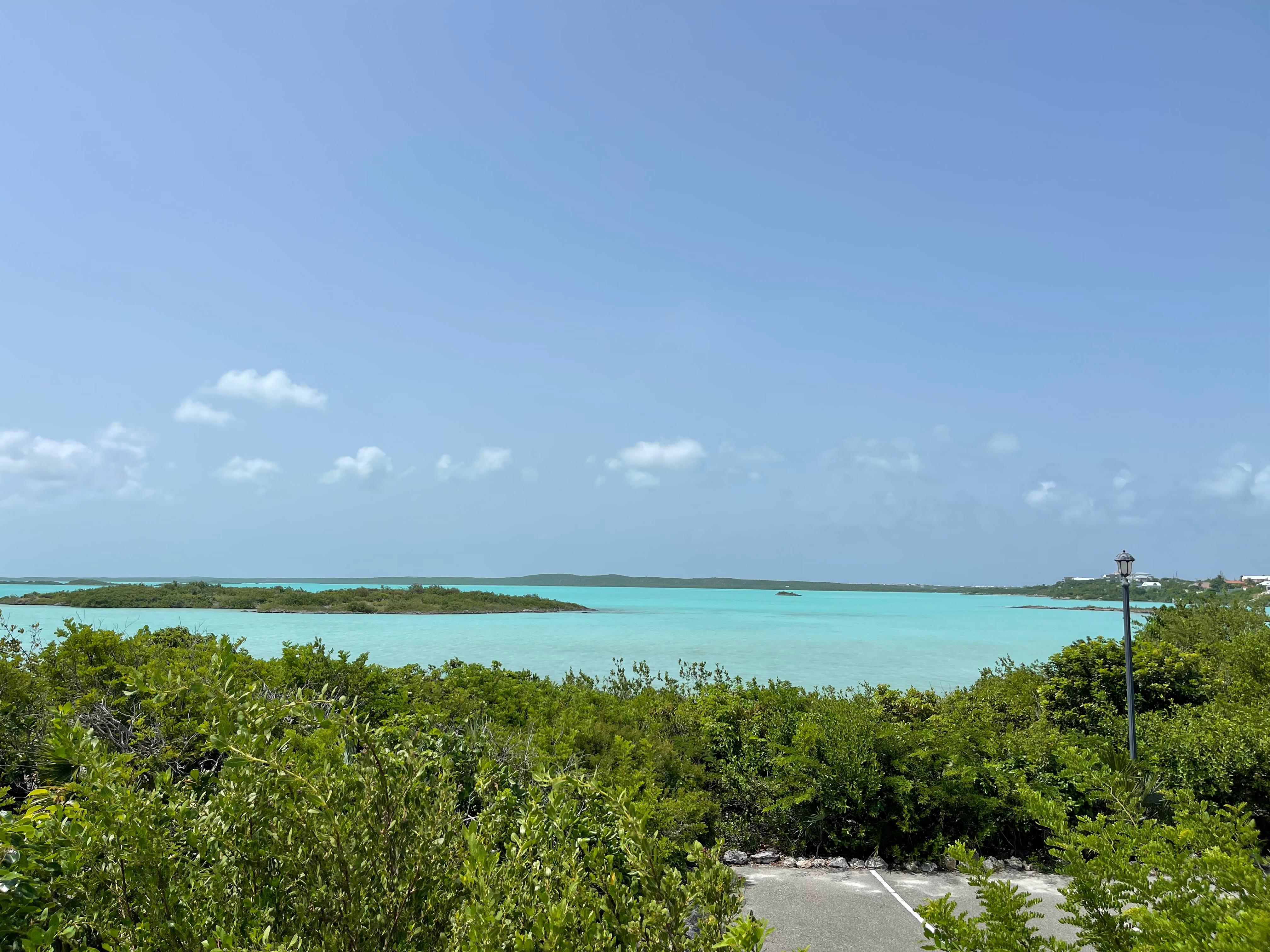 View from the villa. 