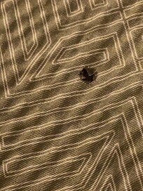 Cigarette Burns on bedspread