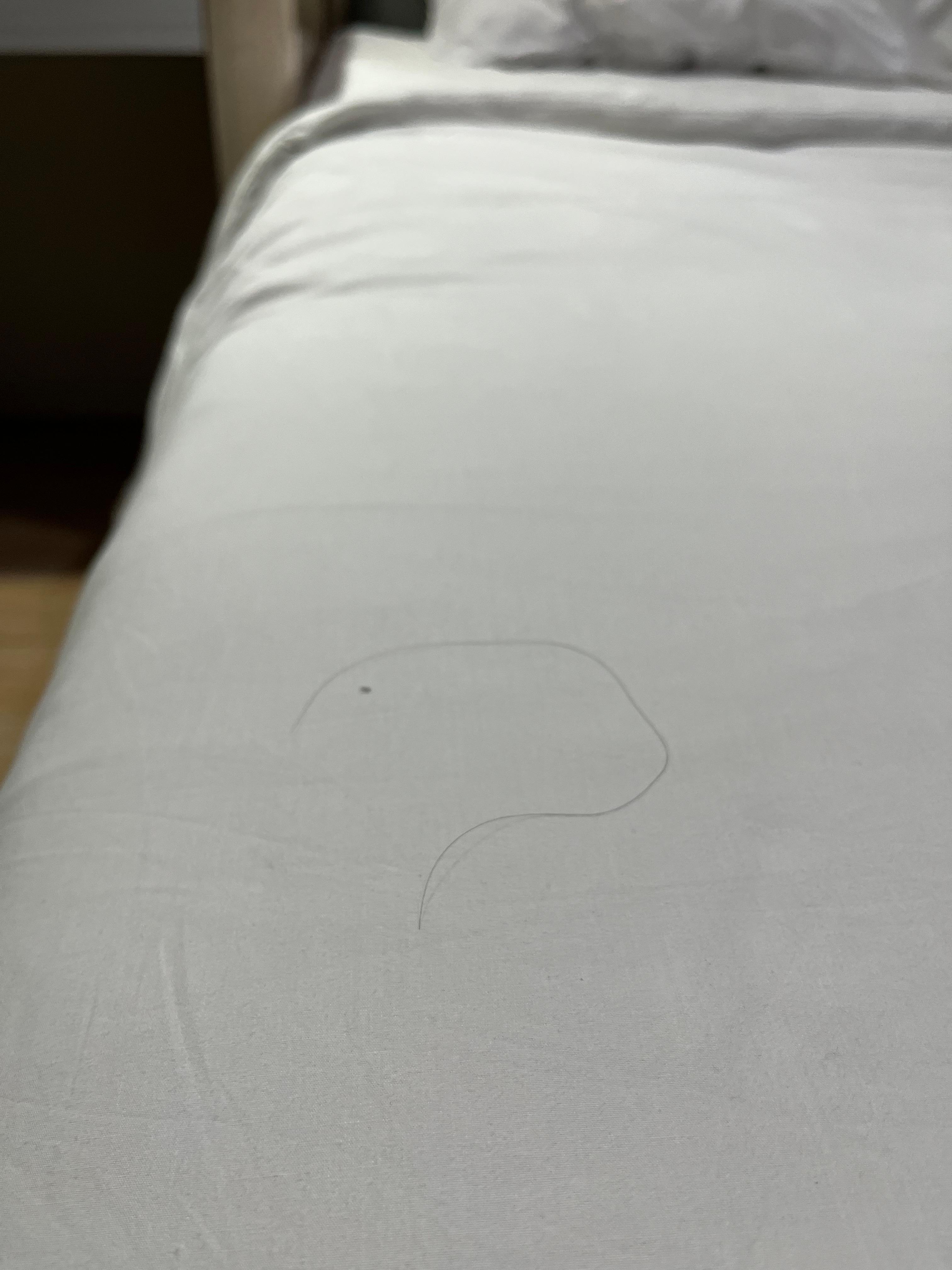 Long hairs on bed