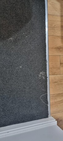 Dirt on carpet