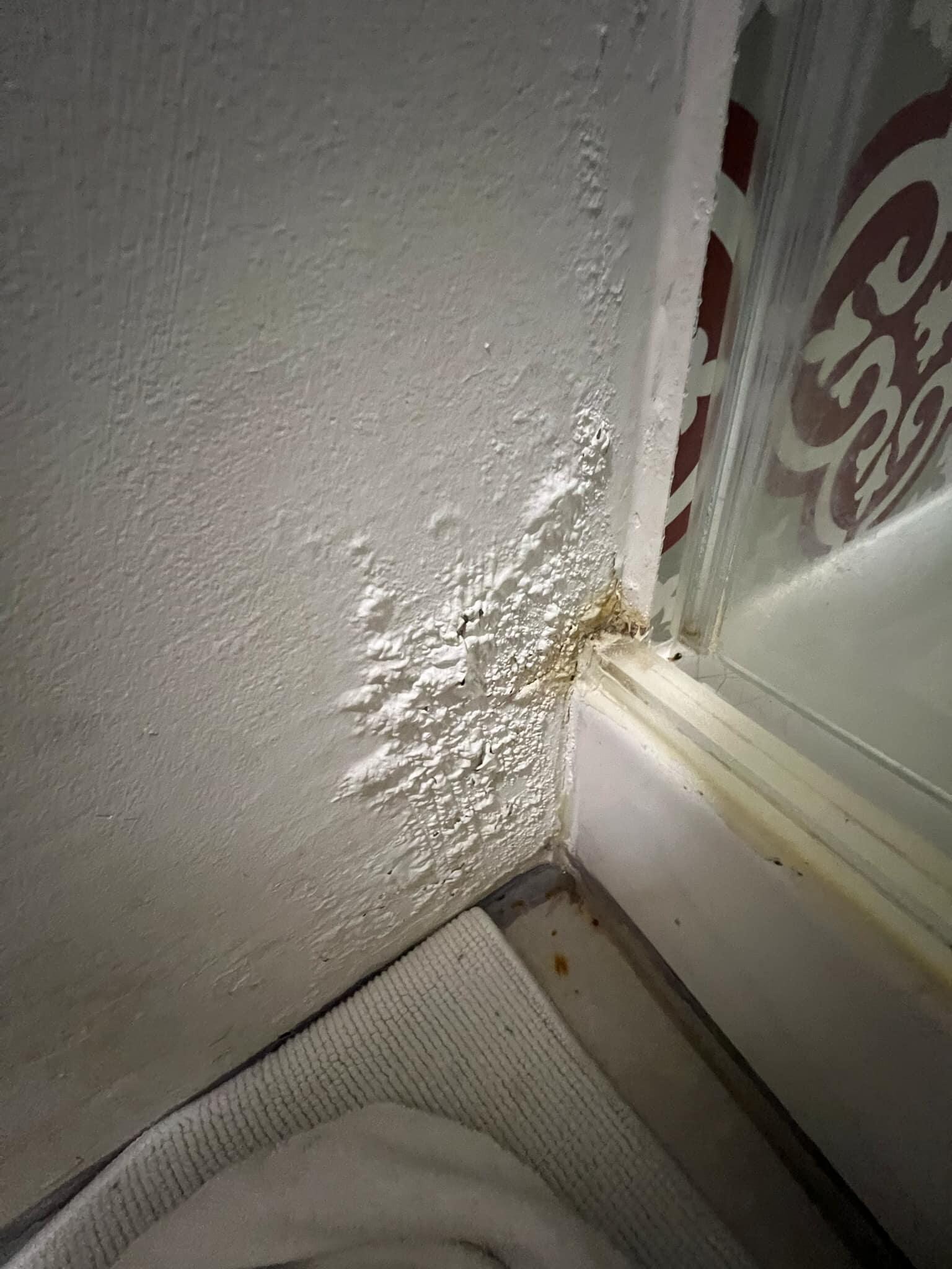 Mold by the shower