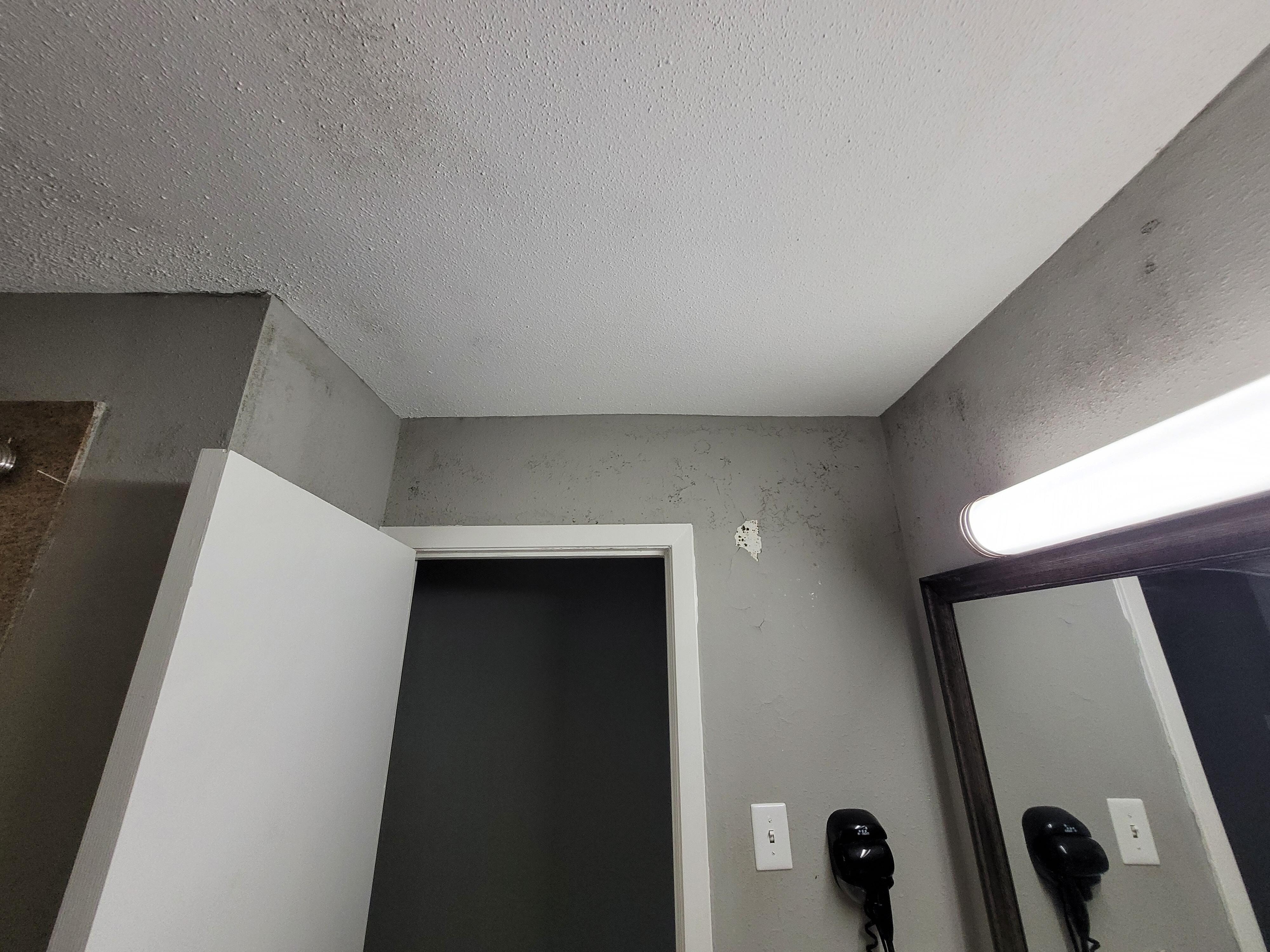 Mold and peeling paint on ceiling and wall in bathroom.