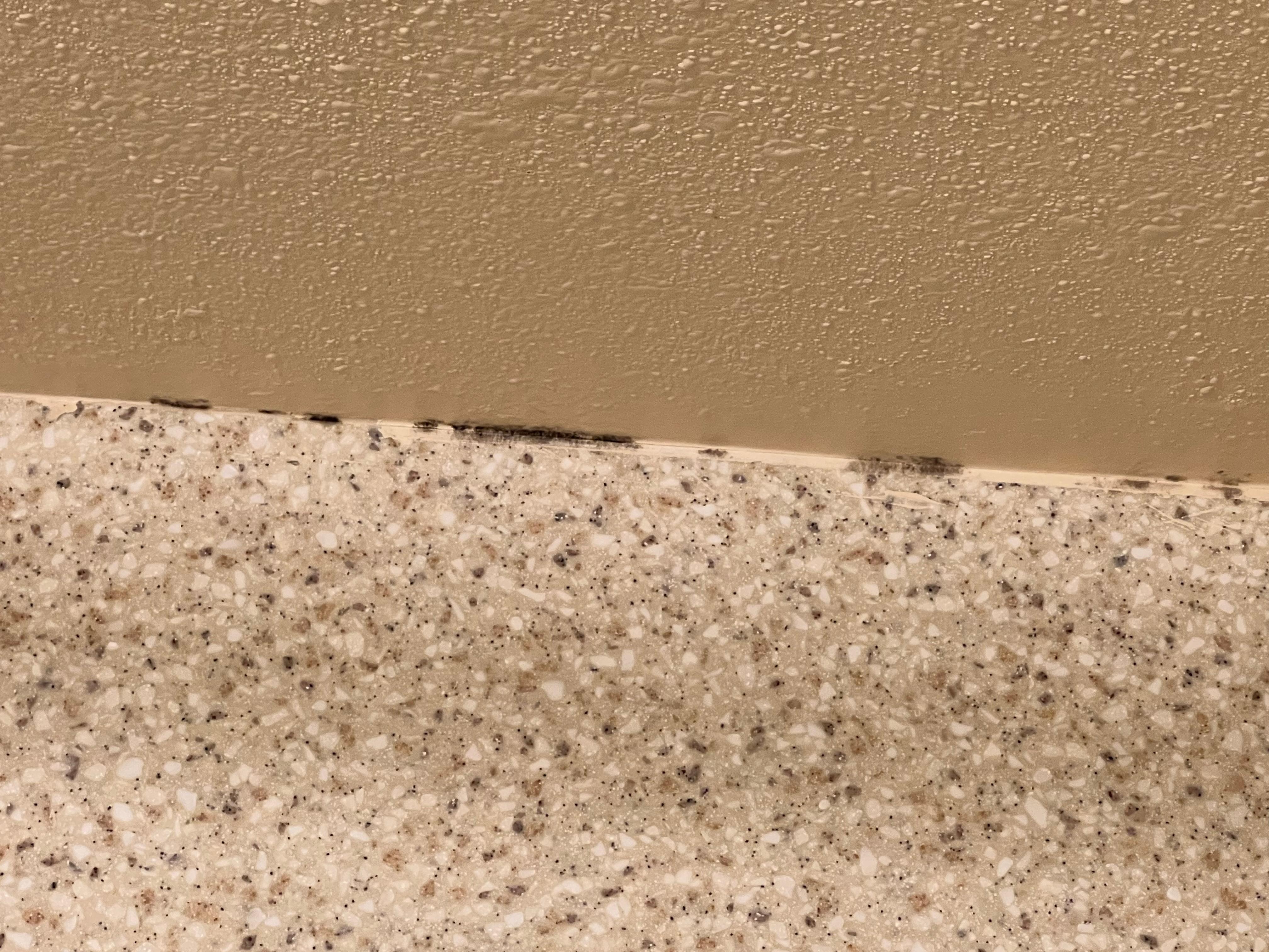 Mold in shower